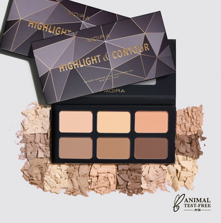HIGHLIGHT AND CONTOUR PALETTE